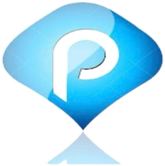 P Prakash Associates LLP